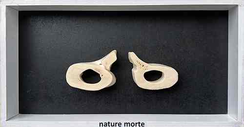 werk van flip lambalk